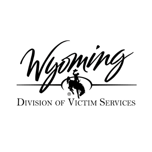 DVS Logo